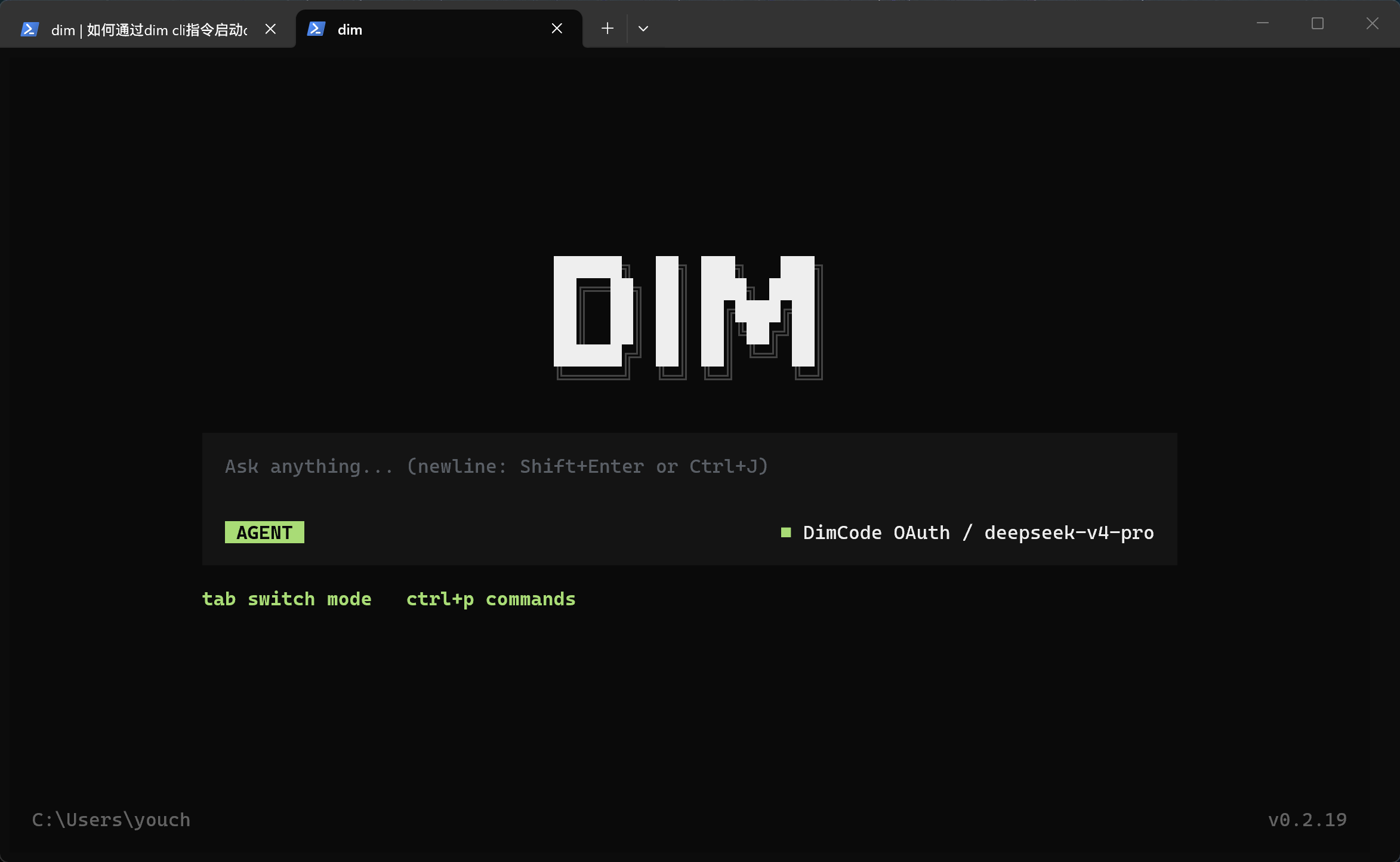 Dim CLI TUI 截图 2